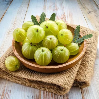 AMLA (Phyllanthus emblica)