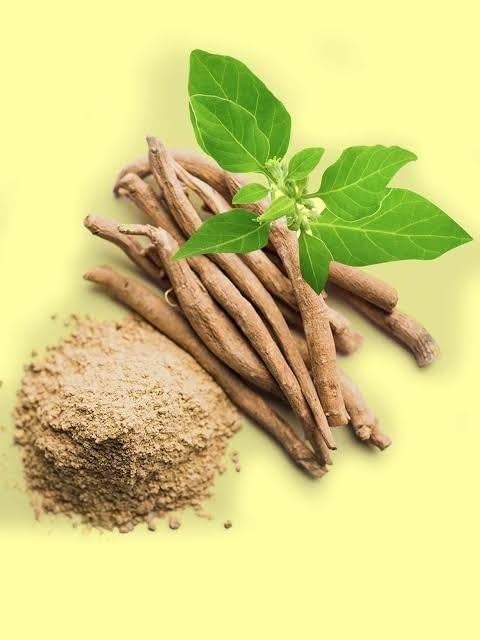Ashwagandha (Withania Somnifera)