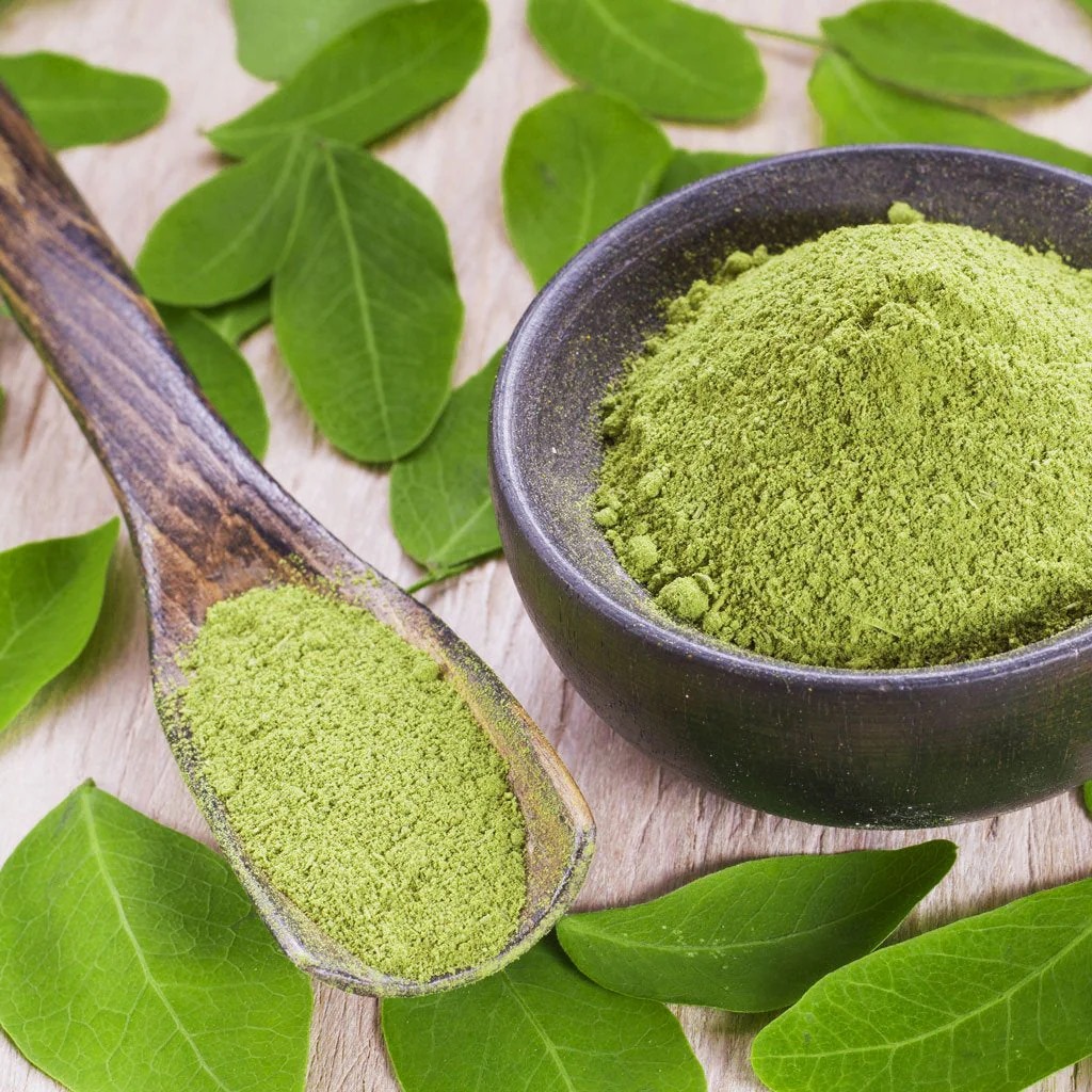 MORINGA (Moringa oleifera)